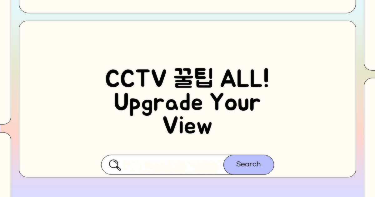 CCTV 화면 꿀팁 모음