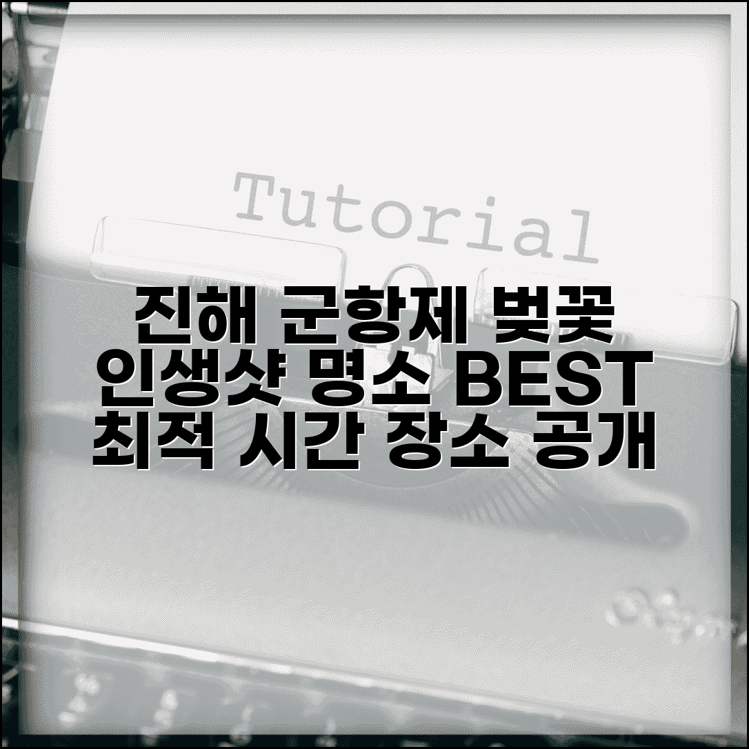진해군항제벚꽃 사진 명소 | 인생샷 건지는 최적 장소와 시간