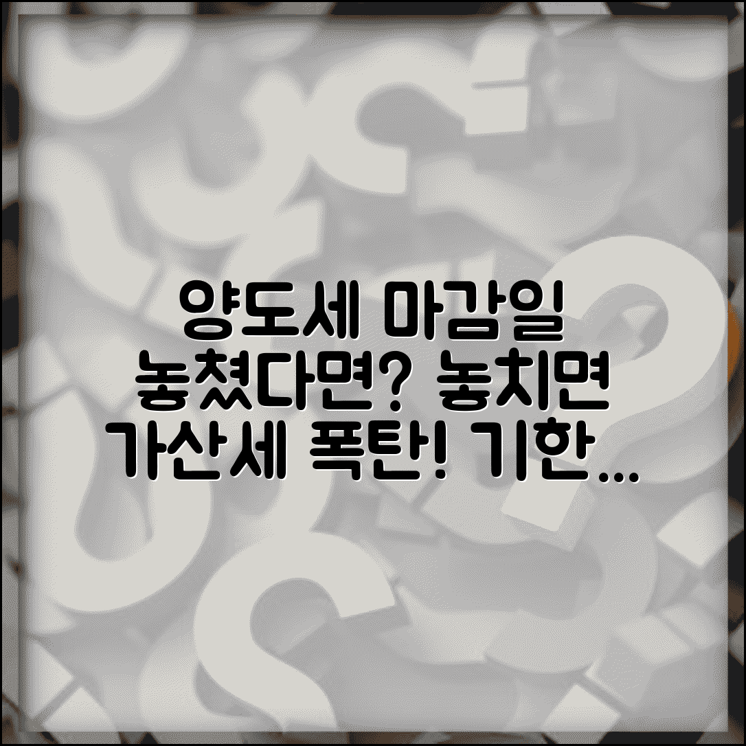 양도세 신고기한 놓치면 | 양도세 신고 마감일과 기한 후 신고 방법 및 절차 총정리