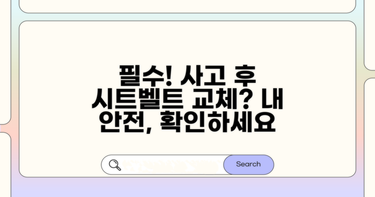 사고 후 시트벨트 교체, 꼭 필요할까?