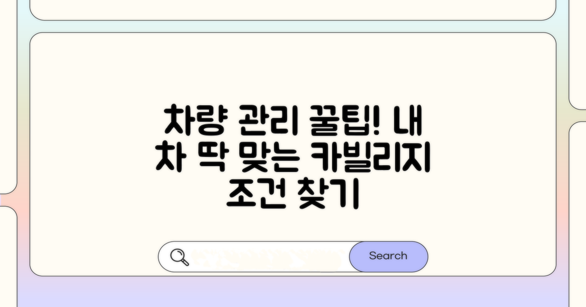 내 차에 맞는 카빌리지 조건 찾기