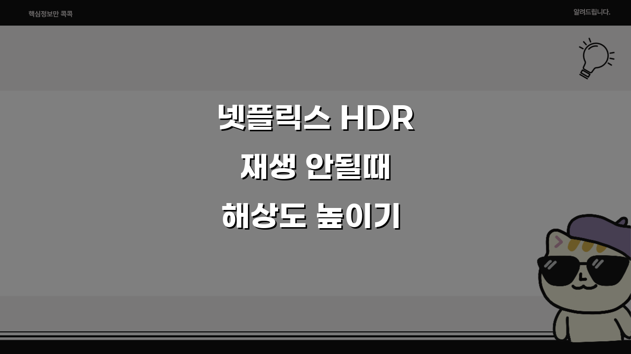 넷플릭스 HDR 재생 안될때 해상도 높이기 5가지 방법