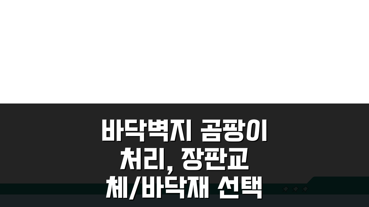 바닥벽지 곰팡이 처리, 장판교체/바닥재 선택부터 시공까지 완벽 솔루션