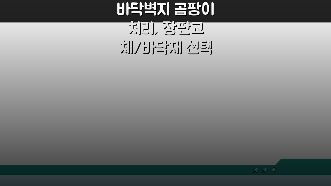 바닥벽지 곰팡이 처리, 장판교체/바닥재 선택부터 시공까지 완벽 솔루션