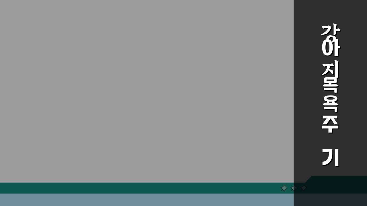 강아지 목욕 주기 방법 셀프 목욕 순서 & 샴푸 추천